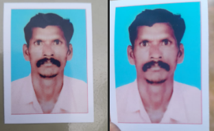 മൂന്നുപേർക്ക് കാട്ടാന ആക്രമണത്തിൽ ജീവൻ നഷ്ടമായി
